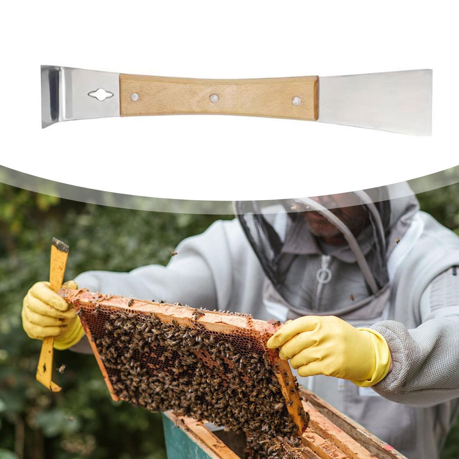 Durable Stainless Steel Hive S - Workshop Tools Knife ulasan dan harga